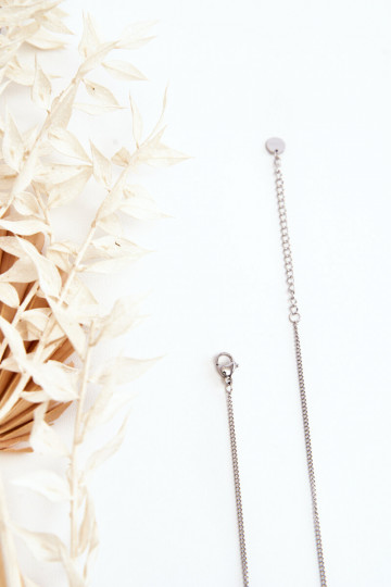 Kaklo papuošalas iš nerūdijančio plieno sidabro spalvos 2