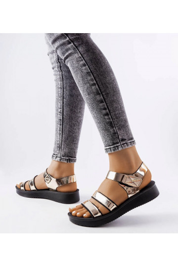 Brices auksiniai... 2