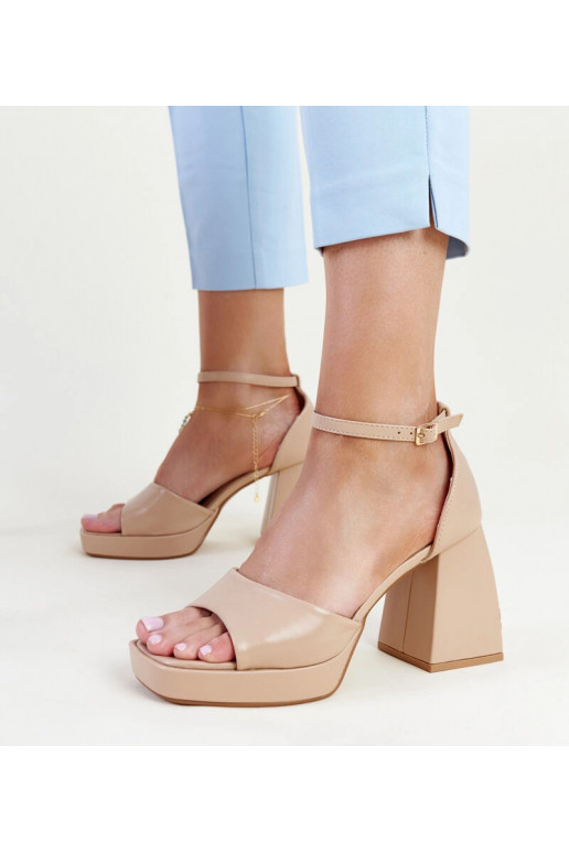 Vesna tamsiai smėlio spalvos...